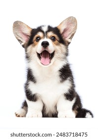 JAPANESE50日本熟妇