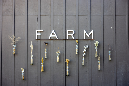 亚洲自拍av 在线