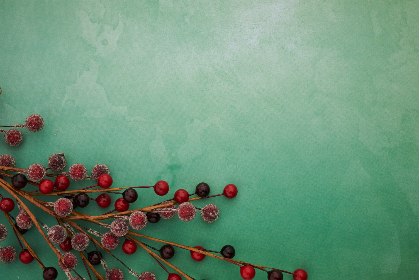 免看黄大片app视频不要钱