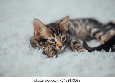 亚洲国产欧美在线人成AAAA