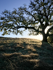 亚洲欧洲日产国码无码