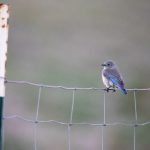 亚洲欧美自拍AvAv i2w87