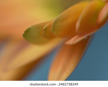 GOGO全球高清大尺度视频