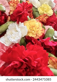 亚洲AV国产AV手机在线一区