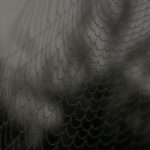 A级爱爱片 la2c183dpa