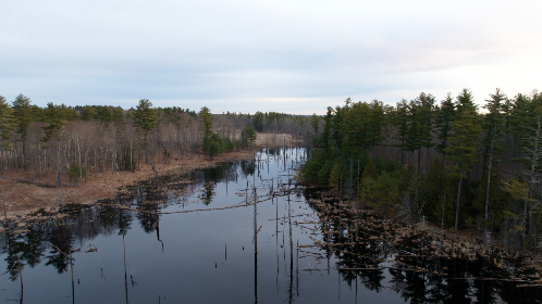 下课后爱的辅导课