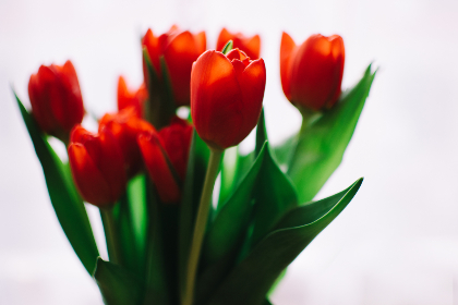 久草在在线午夜免费视频