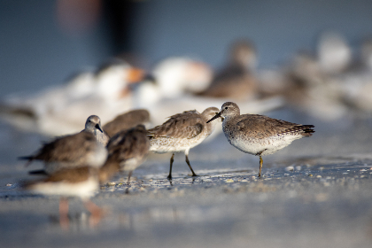 japaneseschoolchild21