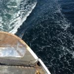 张津瑜吕总完整视频:揭秘两位专家的深度对话与精彩观点 3x0806c8