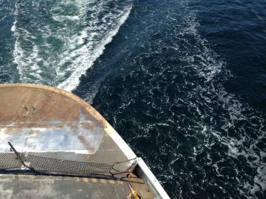 张津瑜吕总完整视频：揭秘两位专家的深度对话与精彩观点