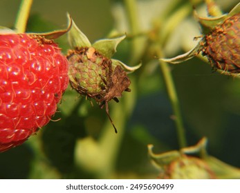 全面解析 LEGO 6090 零件清单及拼装指南