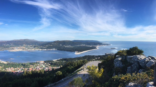 一枝红杏出墙来 全文 作者：探寻古诗词中的爱情与自由之美