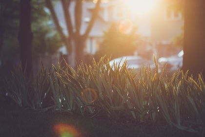 全面解析番号搜索磁力的使用技巧与注意事项