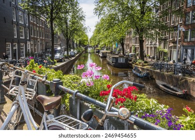 字幕下载：轻松获取最新影视剧字幕的最佳方法与技巧