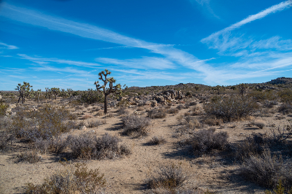 哔咔 漫画网站：探索丰富多彩的漫画世界，尽享阅读乐趣