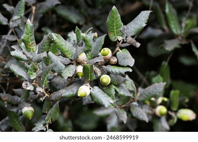 如何再接再厉：提升自我动力与坚持不懈的有效策略