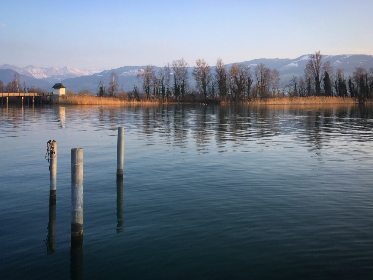 the ync recensioni：深入探讨用户体验与产品评价的真实反馈