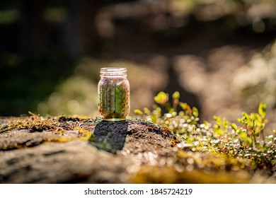 如何快速下载磁力链接的详细步骤与技巧