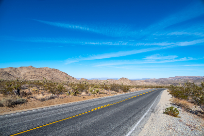 一枝红杏 VPN：畅游网络世界的安全利器