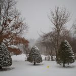 吃瓜 重磅泄密:揭开娱乐圈不为人知的秘密与内幕 qiatpgs