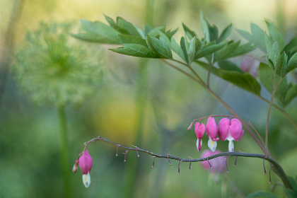 吃瓜 黑料不打烊：揭开娱乐圈背后的那些秘密与真相
