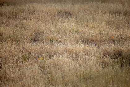 tickzoo preise：探索TickZoo的价格体系与优惠活动详解