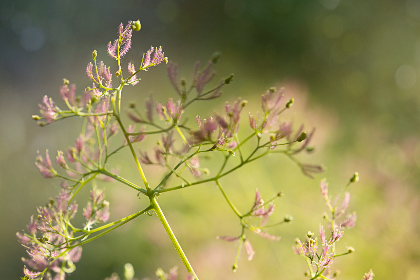 壁纸高清全屏电脑女免费：为你的桌面增添无限魅力与风采