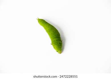 小鴨影音 線上看免費：隨時隨地享受最新電影與劇集的最佳選擇