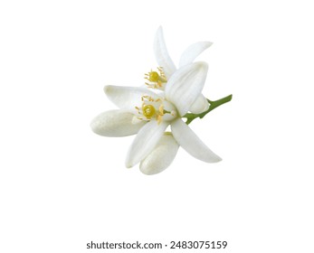 探索ccgg91背后的秘密与潜在价值