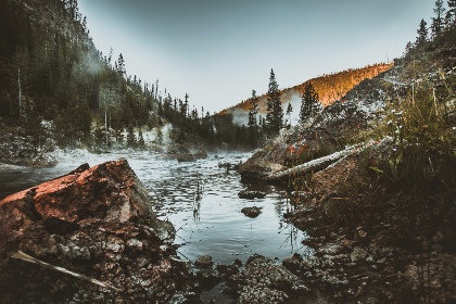 探索jmcomicron.mic.com：创新科技与未来发展的交汇点