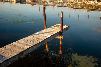 探索A V Club电影：从经典到现代的影评之旅