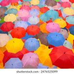 探索halihali.icu:一个全新的网站体验与资源分享平台 5lvmr11p