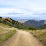 探索98色花堂:绚丽多彩的花艺世界 5zxl1m