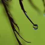 探秘工口实验室:详细地址与访问指南 94tzcv18su