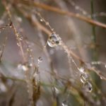 探索最佳免费写真网站,轻松获取高质量摄影作品 97n4r