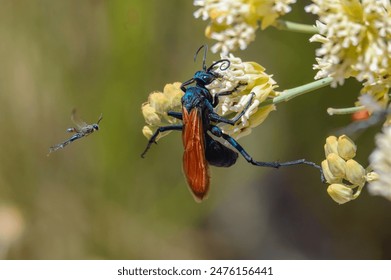 探秘满清十大酷刑之二：凌迟处死的残酷历史