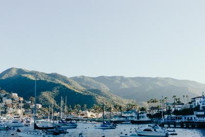 探索海角论坛官网入口的全面指南与使用技巧