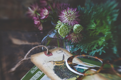 探索雷火剑官网：精彩作品预览与创作背后的故事