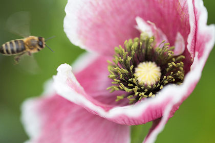 探索360新标签页的全新功能与使用技巧