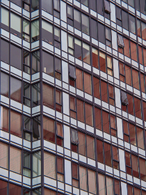 探索真正樱花动漫的魅力与独特风格