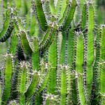 探索Hackettstown论坛:社区交流与本地活动信息 qul5xjd6q