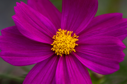 探索雨花阁的魅力与磁力链的神秘