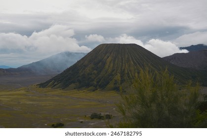 探索亚色世界APP：多元文化与精彩内容的完美结合