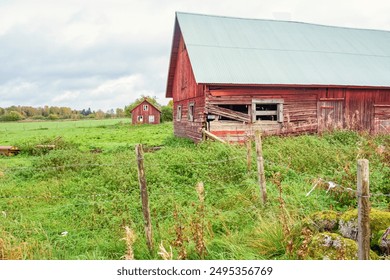 探索yitongkan1的独特魅力与应用前景